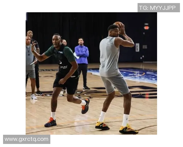 迈尔斯特纳：在NBA赛场上展现防守与进攻的双重实力