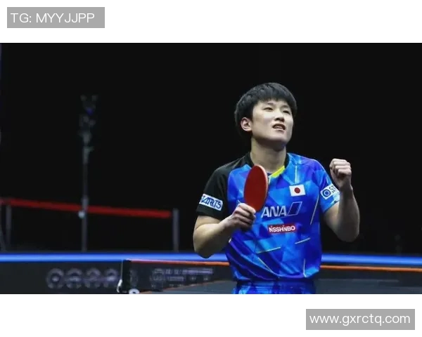 波尔与张本智和精彩对决视频回顾乒乓球巅峰对决不容错过