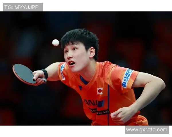 张本智和与波尔精彩对决全场回顾与分析