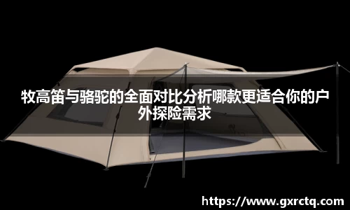 球速体育首页